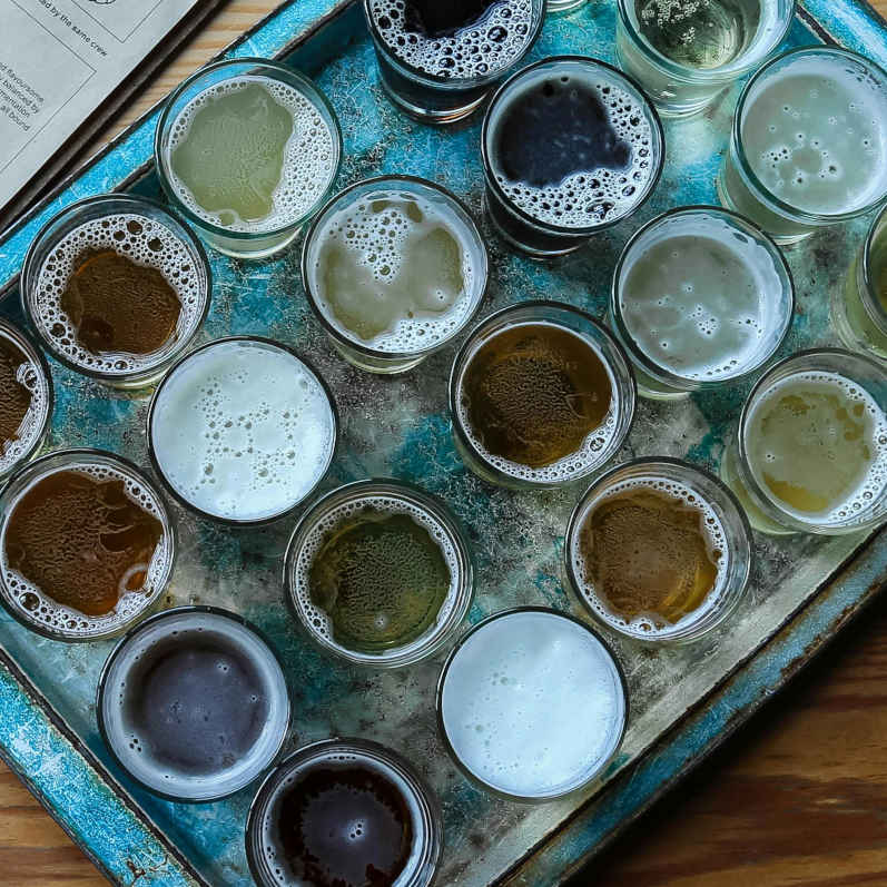 Atelier de biérologie et dégustation de bières artisanales