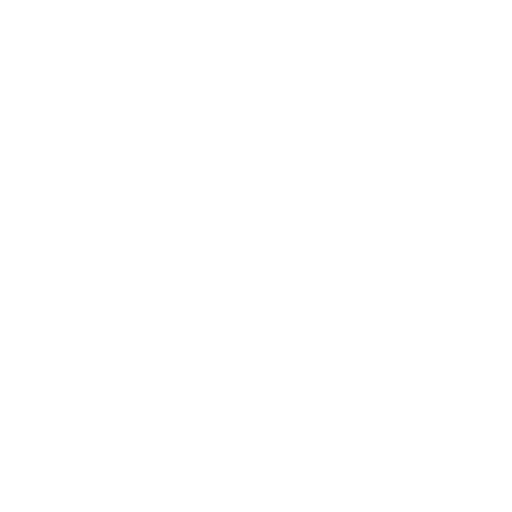bières artisanales